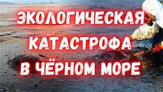 Экологическая катастрофа в Анапе мазута продолжает прибывать! Отдых в Анапе больше невозможен!