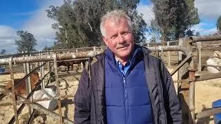 Die nuwe ras adviseur van Droughtmaster SA, Marius Barkhuizen