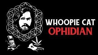 Whoopie Cat - Ophidian