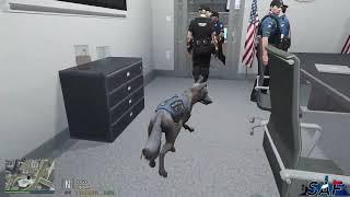 SAF LSPD K9 Live! | K9 then Pike back on patrol! | SA'F