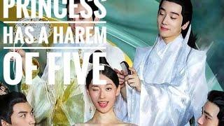 Princess has five husband MV  part 1#cdrama #lovestory #harem