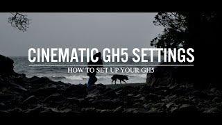 Lumix GH5 Cinematic Film Settings (4k)