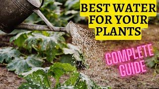 What water to use for plants - Distilled water, mineral water, tap water, RO water