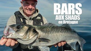 Bass fishing with paddle tails close to Belle Île en Mer.
