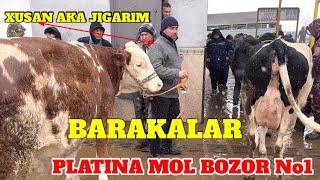 PLATINA MOL BOZOR No1. BARAKALAR NARXLARI ZO'R BO'LDI. ARZONCHI AKA BN SHARTNOMAMIZ BEKOR QILDIK.