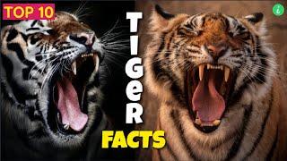 Tiger: Tiger Facts | Unbelievable Facts About Tiger | Facts | Info Hifi
