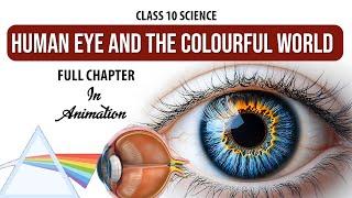 Human Eye and Colourful World  Full chapter  (Animation) | Class 10 Science Chapter 11