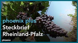 phoenix plus: Steckbrief Rheinland-Pfalz