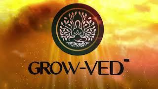 #grow_ved_official #digestion #growved  Grow Ved India | Complete Digestion  Problem Solution ||