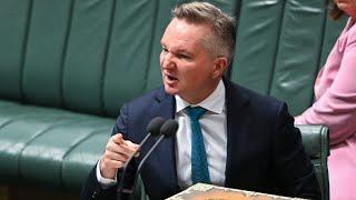 ‘Insulting’: Chris Bowen’s public comments about Liberal Senator