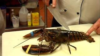 Fabricating a Lobster Demonstration