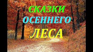 Лесная красота! нежная и красивая музыка анти стресс . береги нервы и наслаждайся с каждым вздохом