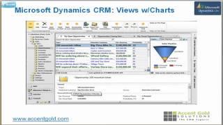 Microsoft CRM 2011 Tutorial and Review