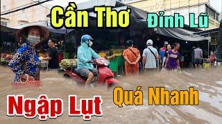 Cần Thơ Ngập Lụt: Nước Lũ Lên Quá Nhanh Thủy Triều Dâng Cao Chợ Bình Thủy Buôn Bán Dưới Nước