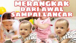 Tahap Bayi Belajar Merangkak dari Awal sampai Lancar dalam 3 Menit