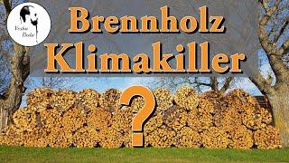 Ist Brennholz wirklich nachhaltig?