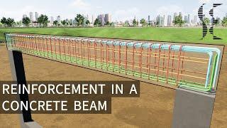 Typical Reinforcement in a Concrete Beam