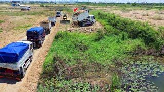 EP2 Starting New Project, KOMATSU D37P Bulldozer, Pouring stones to build a road Using dump truck 5t