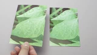 Selecting The Right Photo Paper