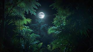 White Noise Birds Singing In The Tropical Forest | Relaxing Forest Night Sounds For Sleep