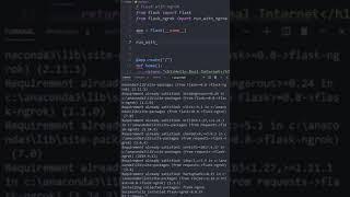 Python | Make you Flask app available on the internet with Ngrok #Shorts