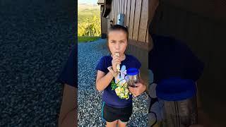 CUTE GIRL EATING AVOCADO ICE CANDY OR POPSICLE #short #shorts #avocado #popsicle #candy #cute