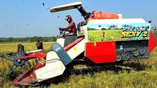 Mesin panen padi terbaru || Combi Harvester Bimo 102