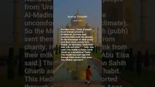 Jami at-Tirmidhi, Hadith: 1845, The Book on Clothing