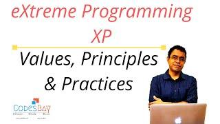 eXtreme Programming - XP  Values Principles and Practices for Software Engineering