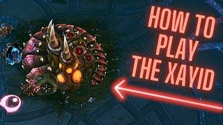 About the Xayid: StarCraft 2 Scion Custom Races