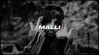 DARDAN x AZET Type Beat - MALLI (prod. by LNF8 x @trena4219 )