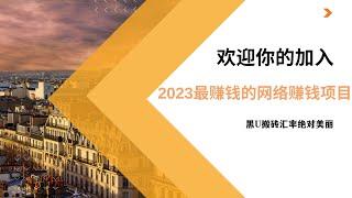 2023网赚项目|兼职 副业|网赚 网络赚钱| 绝对是2023下半年网上赚钱最快的方法，日赚5000＋轻松简单，方法简单人人可做！