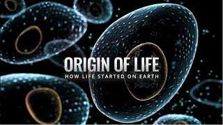 Origin of Life: A Lecture by Dr. Bruce Damer