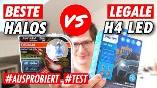 Erste LEGALE H4 LED oder BESTE Halogen? (Philips Ultinon Pro6000 H4 LED vs OSRAM Night Breaker 200)