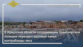 Ирина Волк: В Иркутской области сотрудниками полиции перекрыт крупный канал контрабанды леса