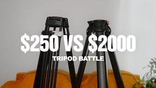 BUDGET Sachtler? Smallrig Freeblazer vs Flowtech Tripods