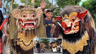 BARONG BANGKUNG MEPETUK DAHSYAT