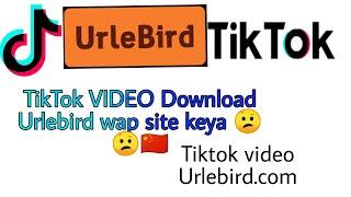 TikTok video Download Urlebird wap site keya he |  क्या है Tiktok video Urlebird wap site