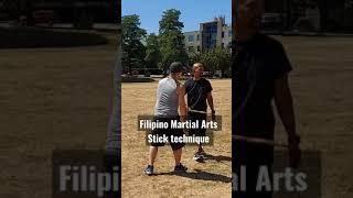 Filipino Martial Arts | Single stick technique | Arnis Kali Eskrima