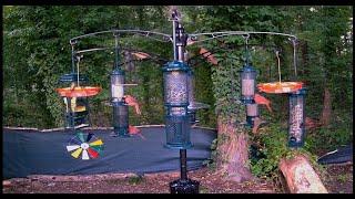 LIVE -  Daily Picture-in-Picture Back Yard Bird watching, Bird Baths, Wildlife, Water & Wind Chimes