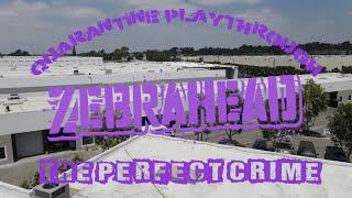 Zebrahead - The Perfect Crime -Quarantine Play-Along - Drum Edition