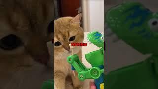 CAT TRICKED BY TOY! #animalstories #pets #cuteanimals #funny #animals #cat #funnyanimals