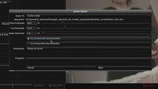Learning Baselight Look #6 - The Scene Detect Tool