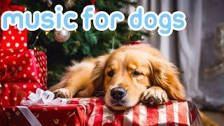 Weihnachtsmusik für Hunde | Entspannende Klänge, um Hunde an Weihnachten zu beruhigen!