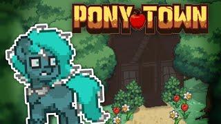 [] ЛИЦА В КАРТИНАХ || Pony Town