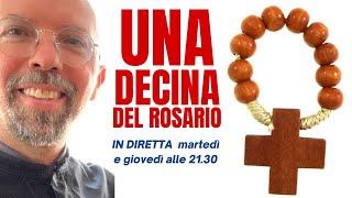 SANTO ROSARIO  preghiamo insieme una decina del rosario dal vivo