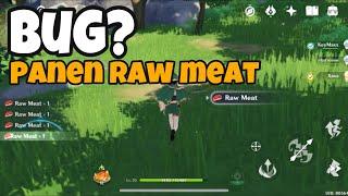 Tips Farming Raw Meat Genshin Impact Indonesia