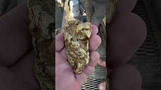 Huge  gold nugget found in B.C.