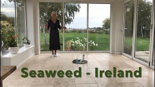Dulaman (Seaweed) Ireland - Circle Dance
