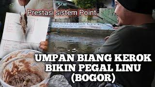 UMPAN BIANG KEROK RAIH PRESTASI TOTAL 2 ROUND, ENCOK BROO !